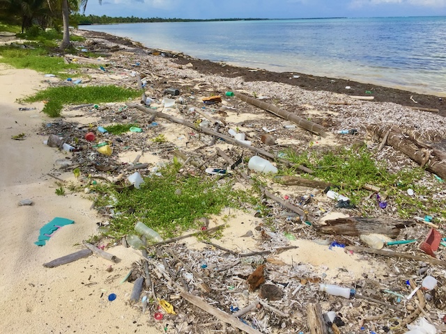 Beach filled with debris that can kill coral