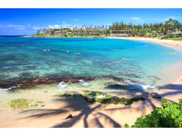 Maui beach which does not allow coral killing suncreen